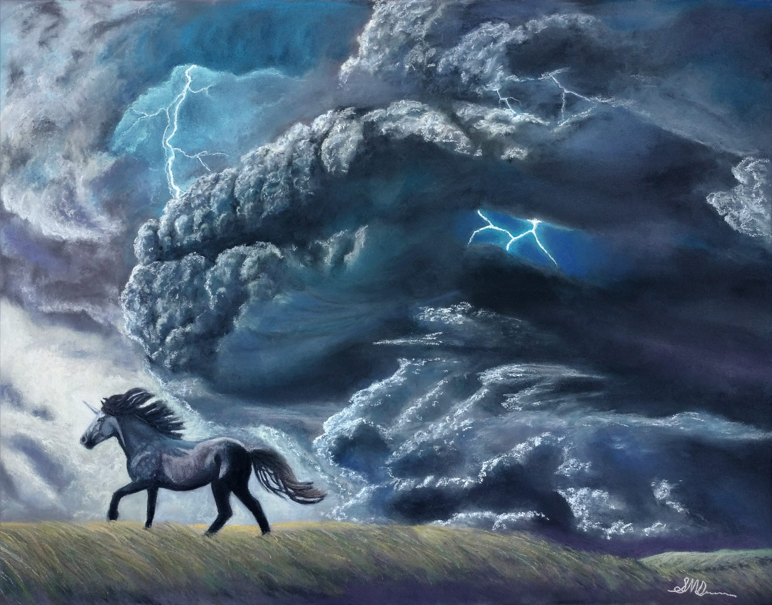 Storm Unicorn